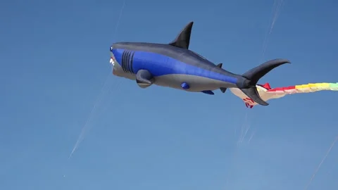 Giant Inflatable Shark Kite Flying in Clear Sky at Kite Festival Stock Footage 333187592