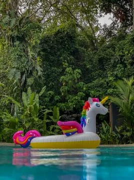 Giant Inflatable Unicorn Pool Float Floatie Ride Stock Photos