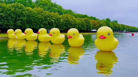 Giant inflatable yellow ducks on a lake for the annual festival in Fontainebleau Stock Footage 320166198