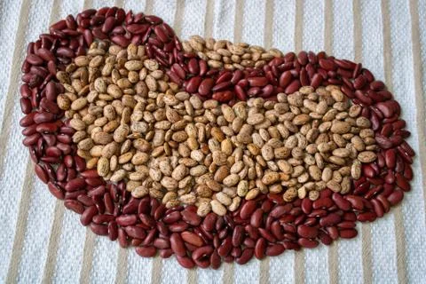 Giant Kidney Bean Split Open Background Stock Photos