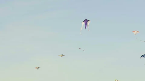 Giant Kite Festival in Berlin, Germany on Tempelhofer Feld: Wide Tracking Shot Stock Footage