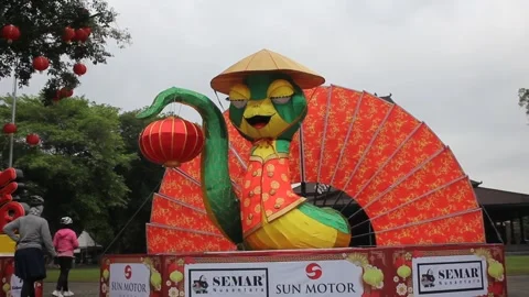 Giant lantern snake Stock Footage 299961813