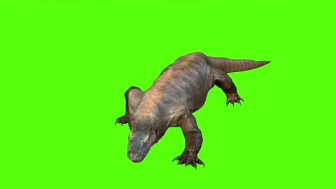 Giant Lizard Attack Green Screen Animati... | Stock Video | Pond5