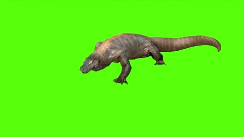 Giant Lizard Attack Green Screen Animati... | Stock Video | Pond5