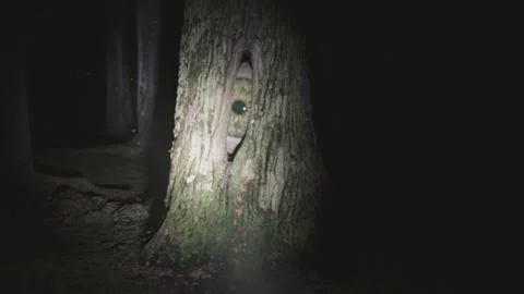 A giant monster eye staring from a tree hollow. Scary dark forest handheld POV Stock Footage 226413209