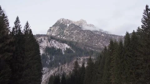 Giant mountain peak in a forest Stock Footage 314858170