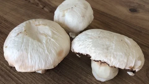 Giant mushroom close up view. 스톡 동영상 284724276