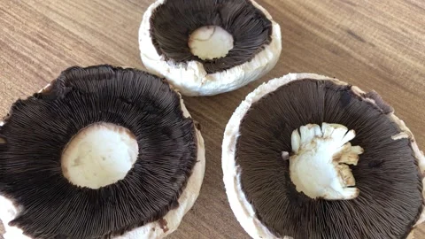 Giant mushroom close up view. Stock Footage 284724331