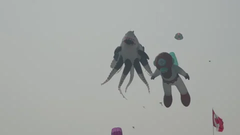 Giant octopus, shark, and deep-sea diver kites Vidéo 340622666