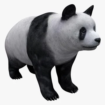 Giant Panda 3D Model