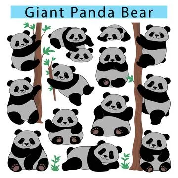 Giant Panda Bear clipart vector Stock Illustration