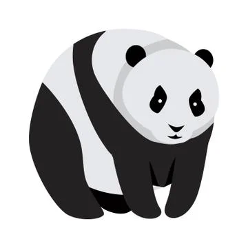 Giant Panda Bear Isolated on White Stock Illustration