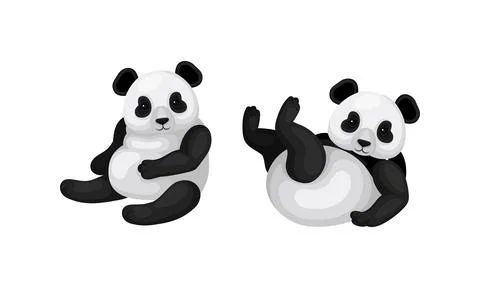 Giant Panda or Panda Bear with Black Patches Around its Eyes and Ears in Sitting Stockillustratie