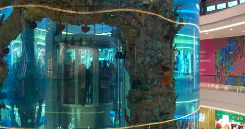 Giant panoramic aquarium with a built-in Elevator, shopping Mall Stock Footage 68945977
