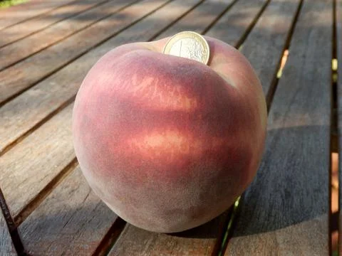 Giant Peach Stock Photos