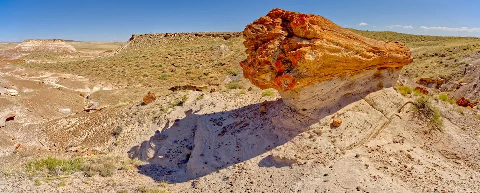 A giant petrified log on a sandstone pedestal on the edge of the Blue Mesa in Stock Photos