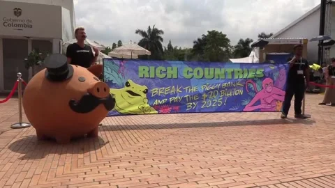 Giant piggy bank asks "rich countries" at COP16 to honor financial commitments,  動画素材 289573353