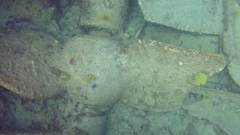 Giant Propeller on Wreck Stock-Footage 80380366