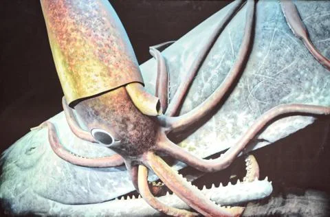 Giant Pulp Stock Photos