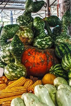 Giant pumpkins 1 Stock Photos