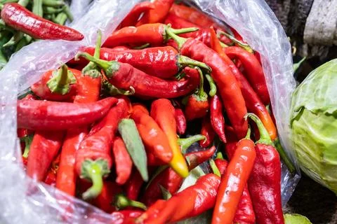 Giant red chilli pepper at vegetable store for sale at evening Stock Photos