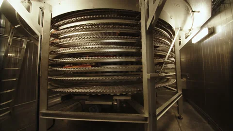 Giant refrigerator at meat processing plant. First stage of preparing meat in Stock Footage 205489942