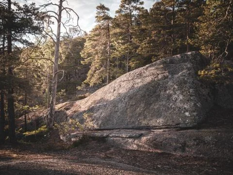 Giant rock between pine trees Stock Photos