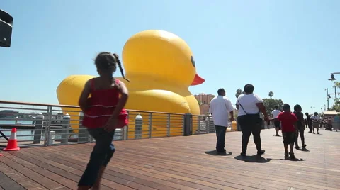 Giant Rubber Duck Behind Stock Footage 41784218