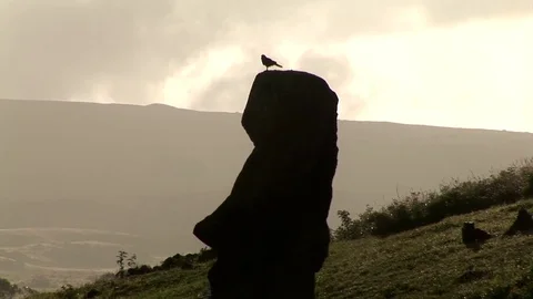 The giant sculptures Rapa Nui of the Easter Island Stock Footage 74981895