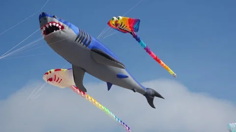 Giant Shark Kite Close Up Soaring in Blue Sky, Giant Kites Festival Outdoor Stock Footage 333120203