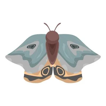 Giant silk moth spreading its wings on white background Illustrazione stock