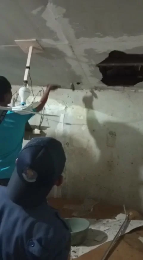 Giant Snake Falls Through Ceiling Towards Firefighters, Kembangan, west Jakarta, Stock Footage 205431397