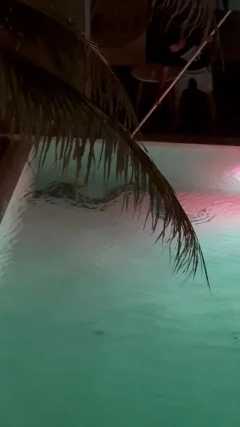 Giant Snake in the Pool, Koh lipe, Thailand - 05 Jan 2023 Stock Footage 229732421