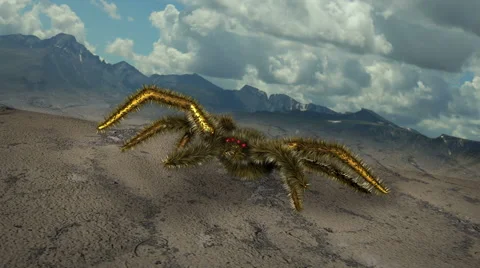 Giant spider attack Stock Footage 40756026
