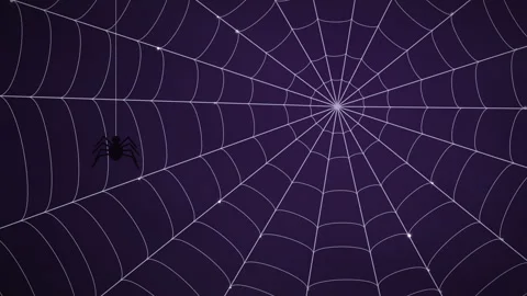 Giant Spider Web Halloween Background with Dew and Spider Stock Footage 345640100