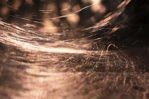 Giant spider web  Foto stock