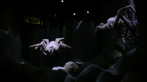 Giant spiders in the Forbidden Forest set in the Harry Potter Studio Tour London Stock Footage 324819641