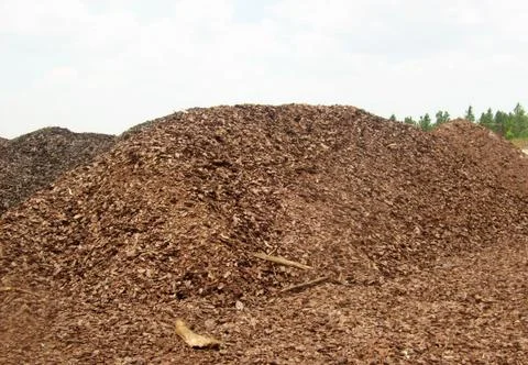 Giant splinter mountain Stock Photos