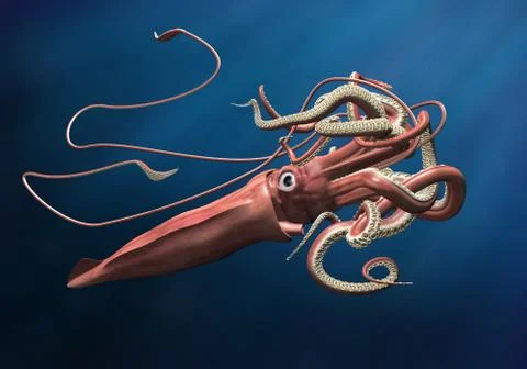 Giant squid Stock-Illustration