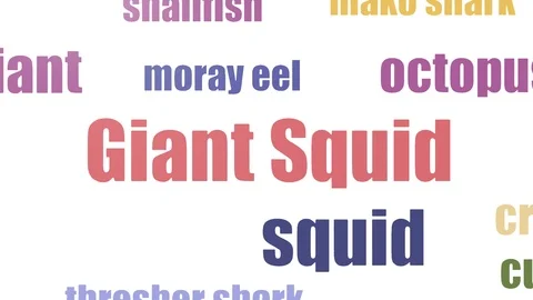 Giant Squid Word Cloud Animated On White... | Stock Video | Pond5