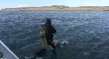 Giant stride entry frmo a boat HD Footage
