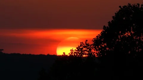 Giant Sun Setting in Orange Sky as trees gently move Stock Footage 87634376