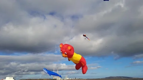 Giant Teddy Bear Balloon Kite Flying Dublin Bay Stock Footage 265158892