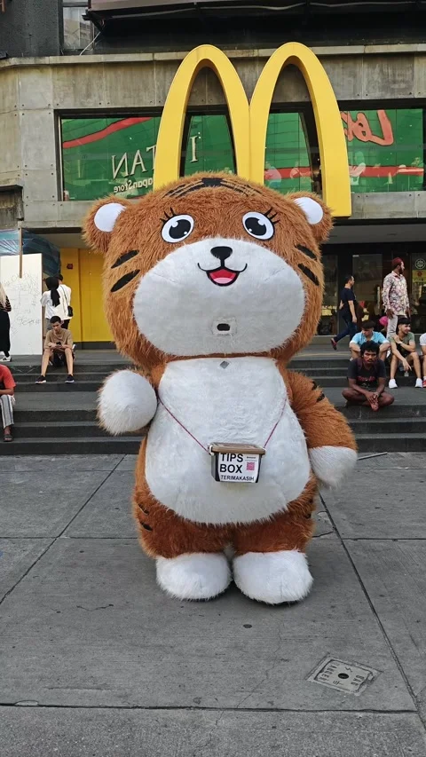 Giant tiger doll Stock Footage 324595461