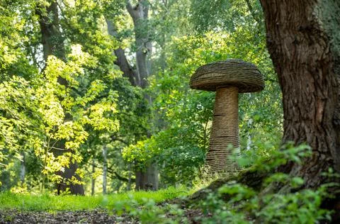 Giant toadstool  Stock Photos