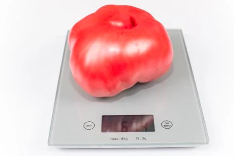 Giant tomato Stock Photos