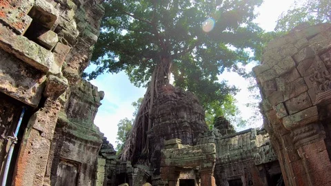 Giant trees at Prasat Ta Prohm in Angkor thom complex at Siem Reap, Cambodia Stock Footage 108162714