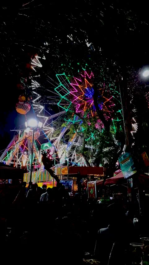 Giant wheel Stock Footage 294544627