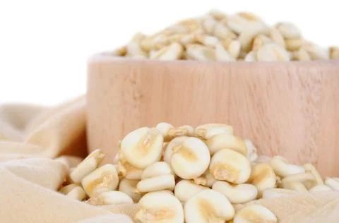 Giant whilte corn Stock Photos