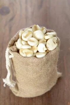 Giant white corn Stock Photos